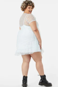 Curve Butterflies On The Wall Mesh Dress