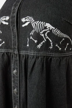 Curve Early Jurassic Dino Pinafore