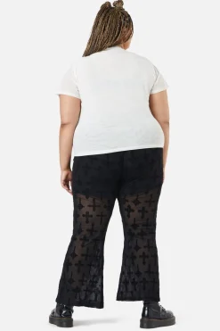 Curve Eliza Mesh Top