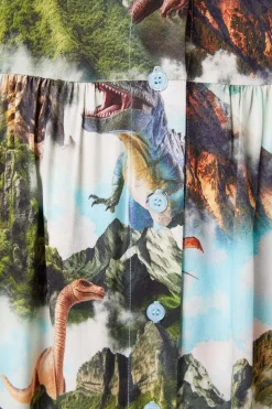 Curve Triassic Scene Printed Dress