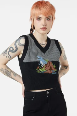 Dinosaur Contrast Knit Vest