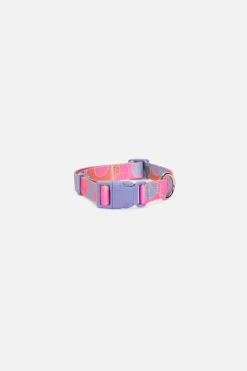 Donna Dog Collar L