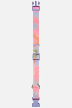 Donna Dog Collar L