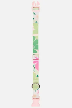 Edie Dog Collar L