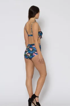 Flamingo Dance Bikini Top