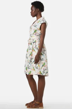 Parrot Shirt Dress