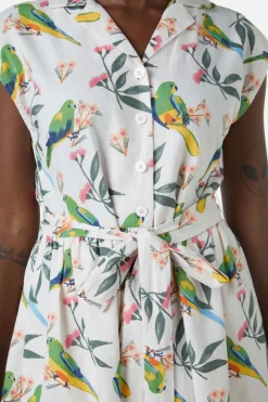 Parrot Shirt Dress