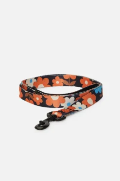 Renee Pet Lead Large