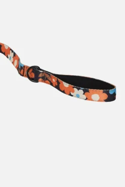 Renee Pet Lead Large