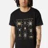 Scientific Spider Tee