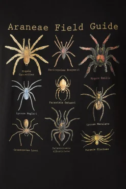 Scientific Spider Tee