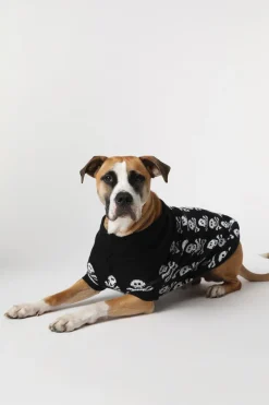 Skull Dog Jumper L