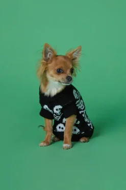 Skull Dog Jumper Xs