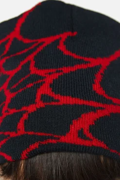 Spider Web Beanie