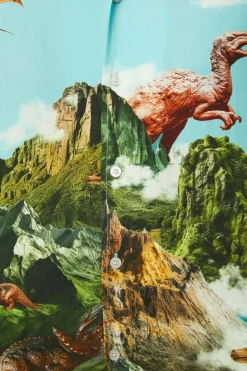 Triassic Border Shirt