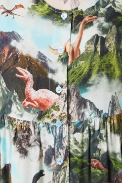 Triassic Scene Printed Dress