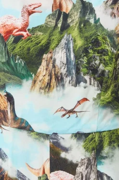 Triassic Scene Printed Jumpsuit